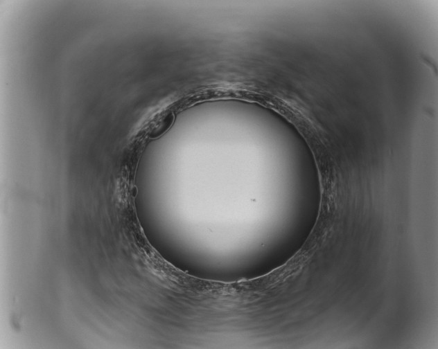 X0000102311207200808011555