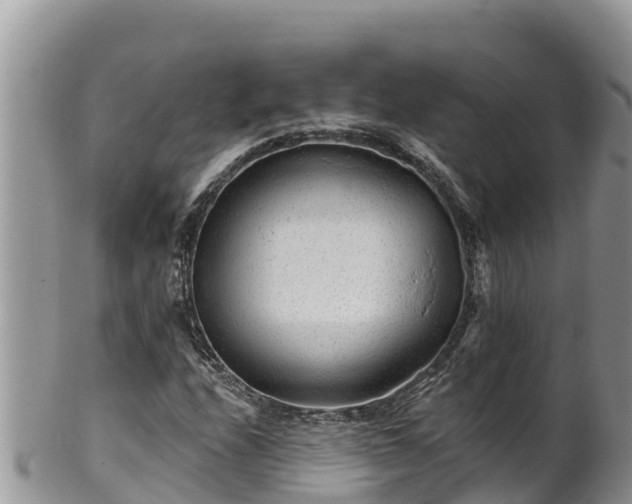 X0000102311208200808011555