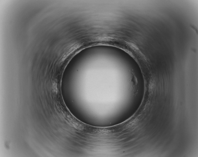 X0000102311209200808011555