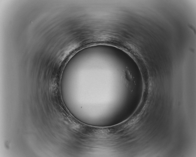 X0000102311210200808011555