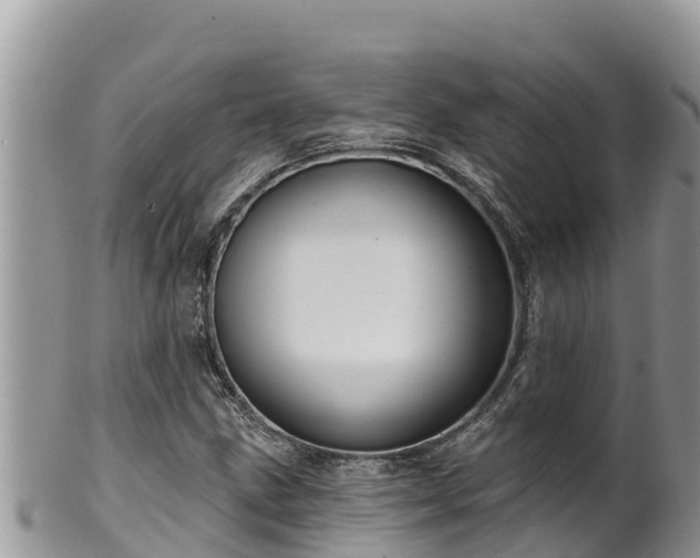 X0000102311211200808011555