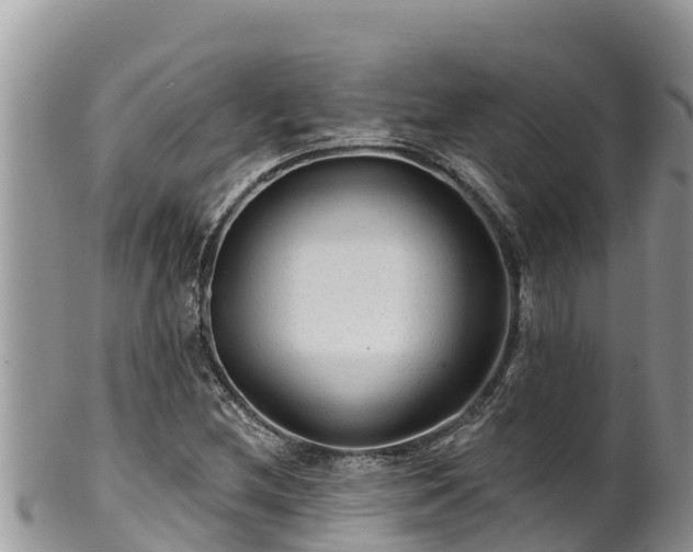 X0000102311212200808011555