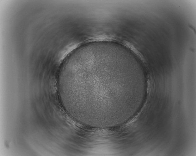 X0000102311213200808011555