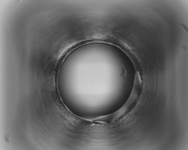 X0000102311214200808011555