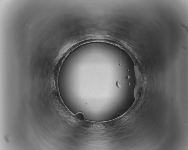 X0000102311215200808011555