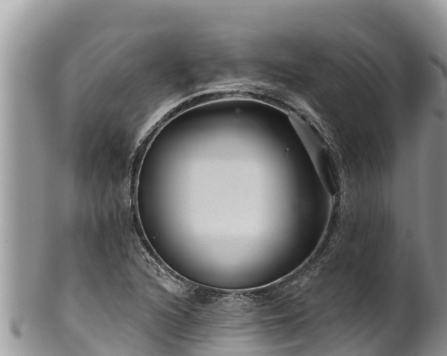 X0000102311216200808011555