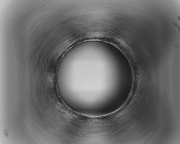 X0000102311217200808011555