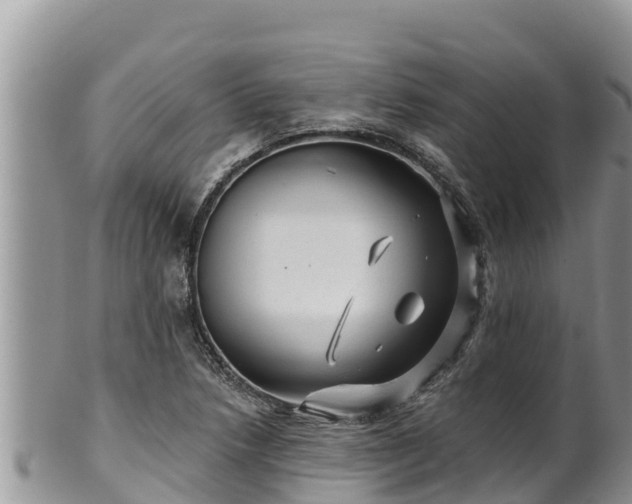 X0000102311218200808011555