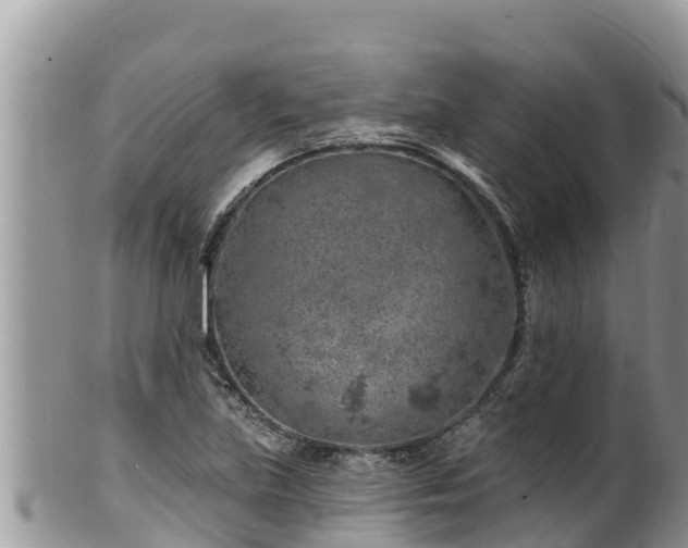 X0000102311219200808011555