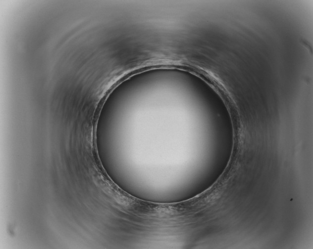 X0000102311220200808011555