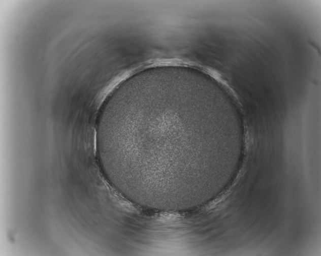 X0000102311221200808011555