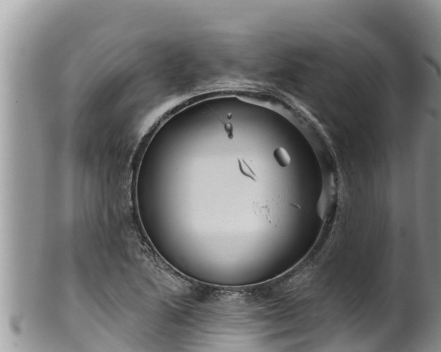 X0000102311222200808011555