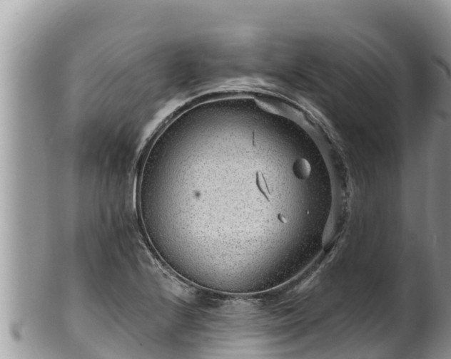 X0000102311224200808011555