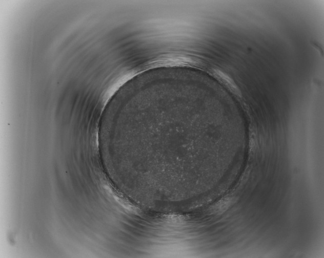 X0000102311226200808011555