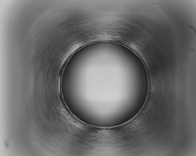 X0000102311227200808011555