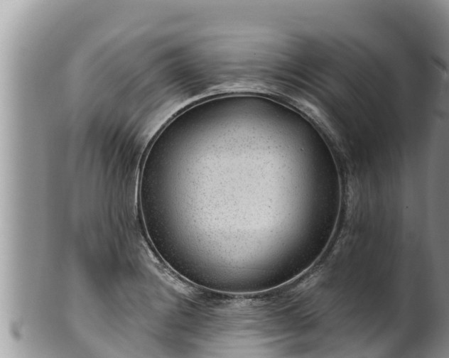 X0000102311228200808011555