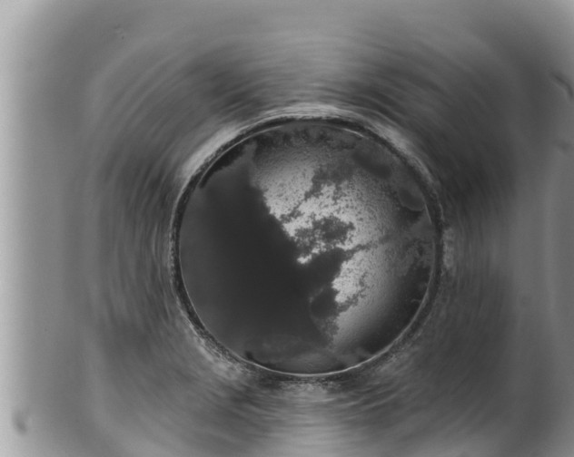 X0000102311229200808011555