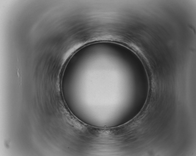 X0000102311230200808011555