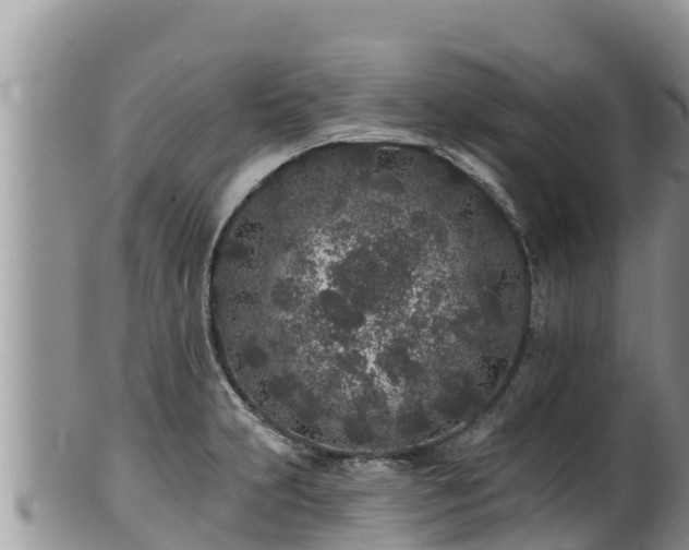 X0000102311231200808011555