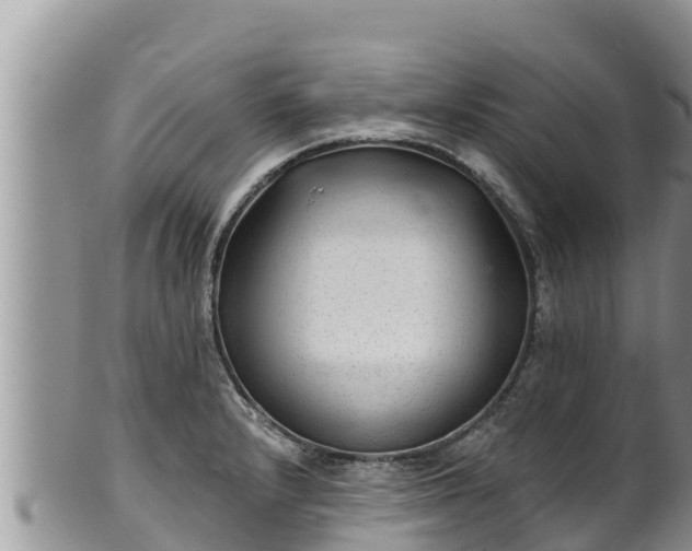 X0000102311232200808011555