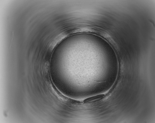 X0000102311233200808011555