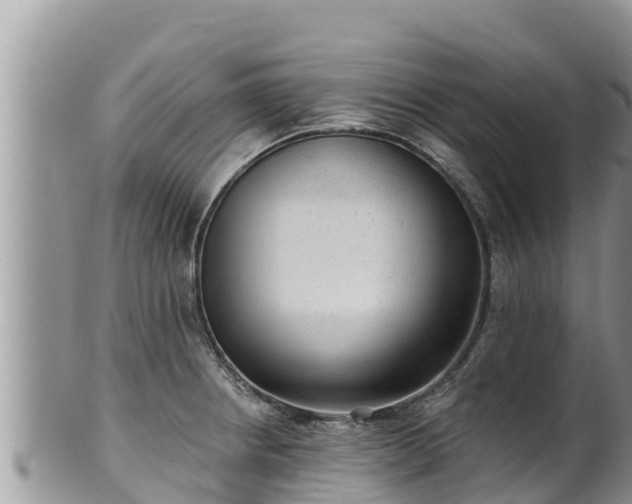 X0000102311234200808011555