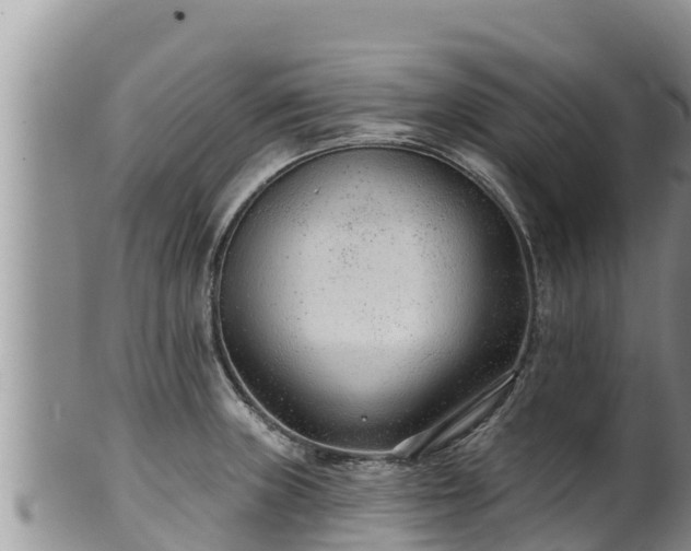 X0000102311235200808011555