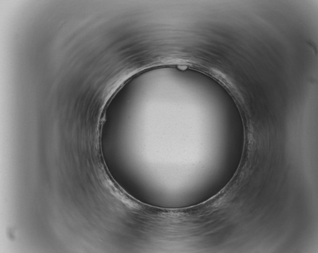 X0000102311236200808011555