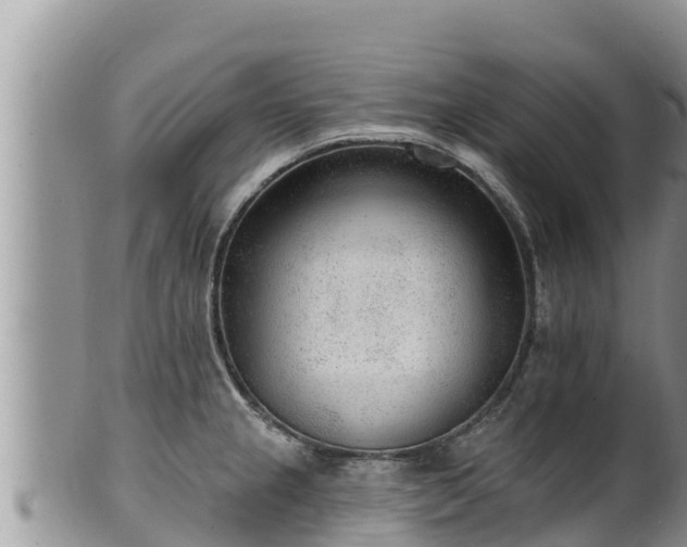 X0000102311237200808011555