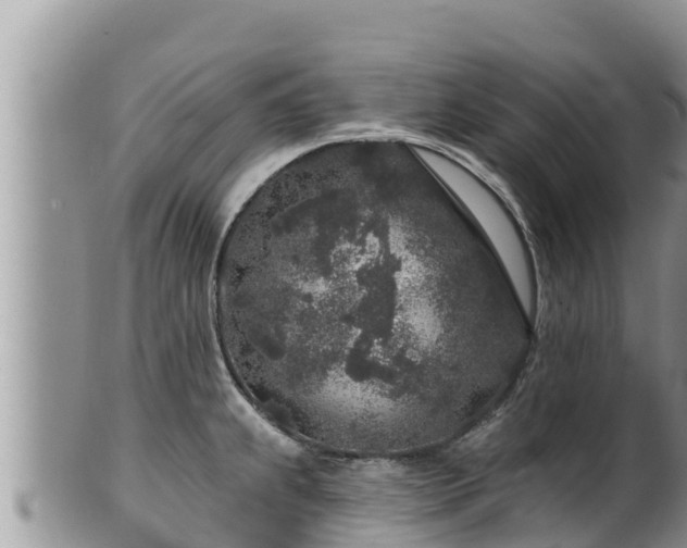 X0000102311239200808011555