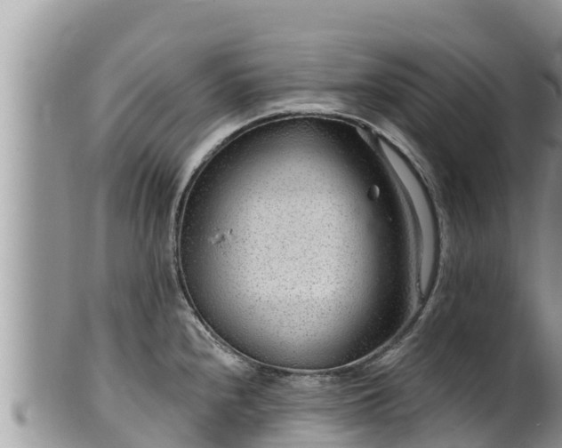 X0000102311240200808011555