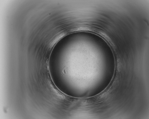 X0000102311241200808011555