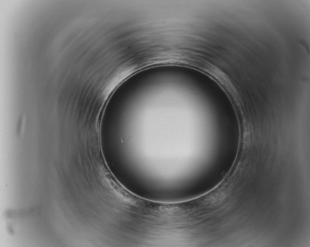 X0000102311242200808011555