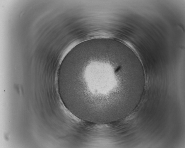 X0000102311243200808011555