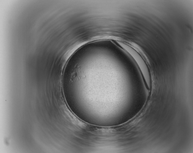 X0000102311244200808011555