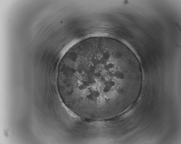 X0000102311245200808011555