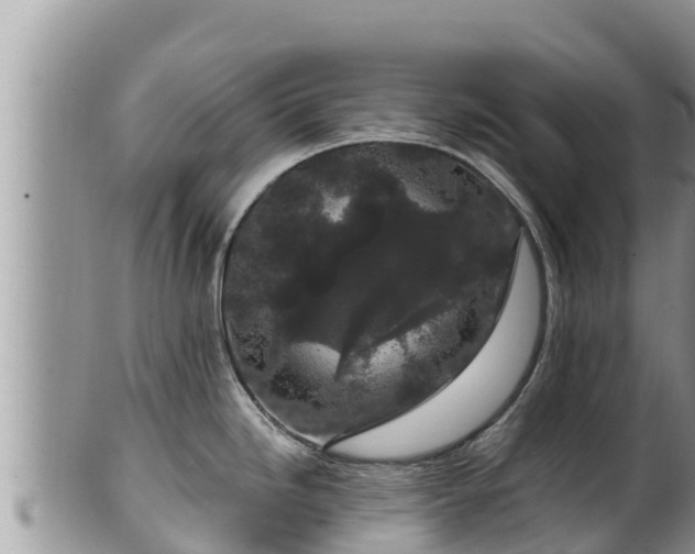 X0000102311246200808011555