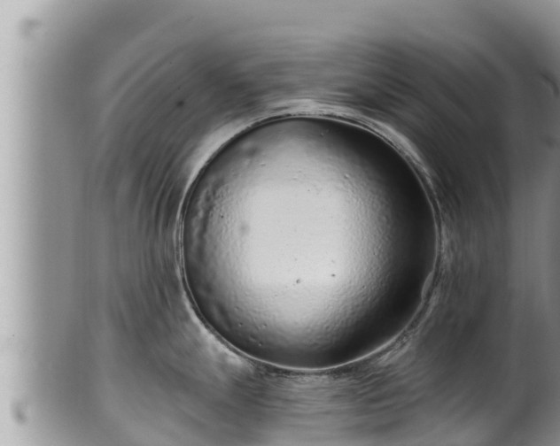 X0000102311247200808011555