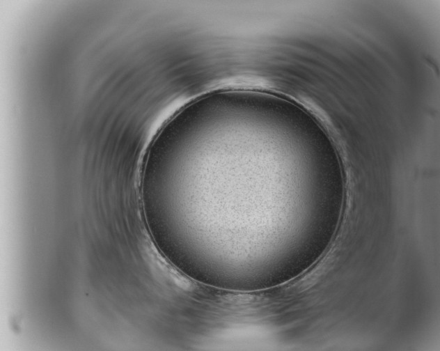 X0000102311248200808011555