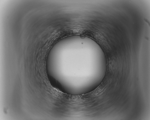 X0000102311249200808011554