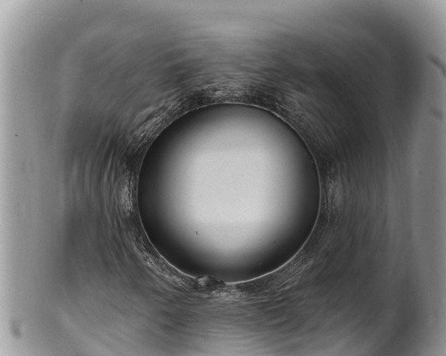 X0000102311250200808011554