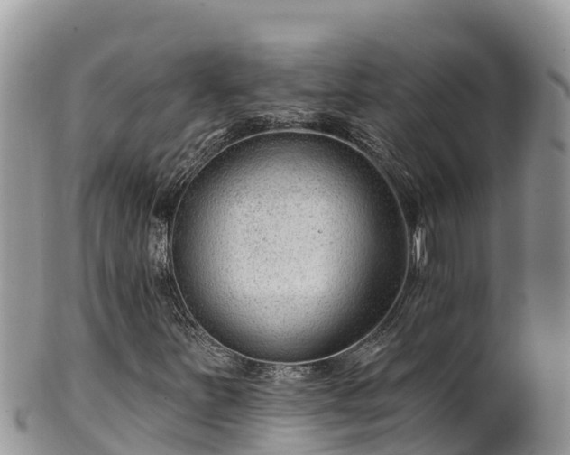 X0000102311251200808011554