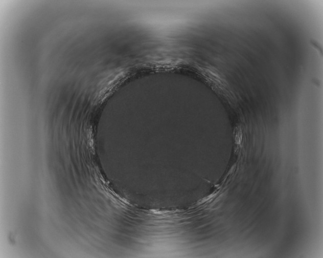 X0000102311252200808011554