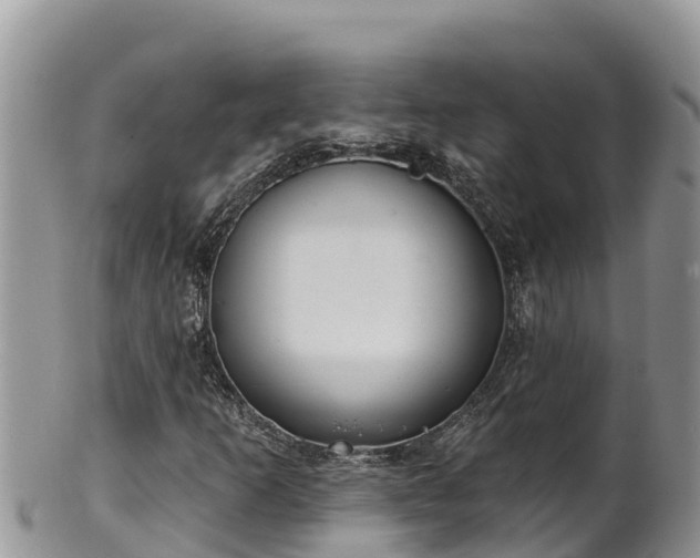 X0000102311253200808011554