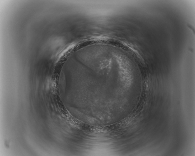 X0000102311254200808011554