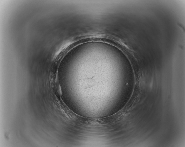 X0000102311255200808011554