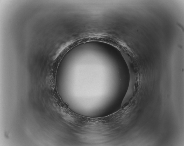 X0000102311256200808011554