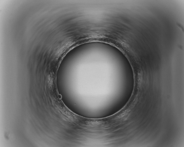 X0000102311257200808011554