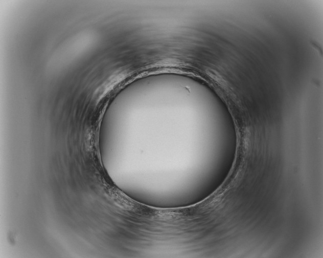 X0000102311258200808011554