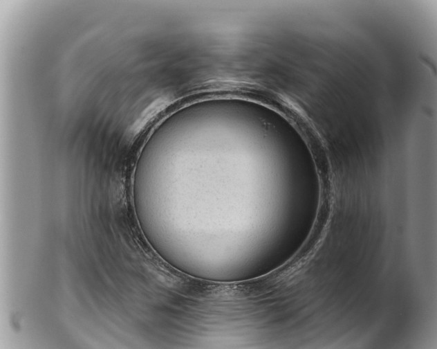 X0000102311259200808011554